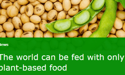 Plant based foods … enough protein to feed the world?