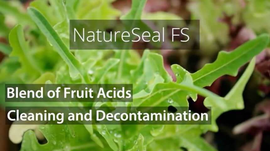 Soluciones Agricoat NaturSeal para mantener la calidad de frutas y hortalizas frescas o en IV Gama