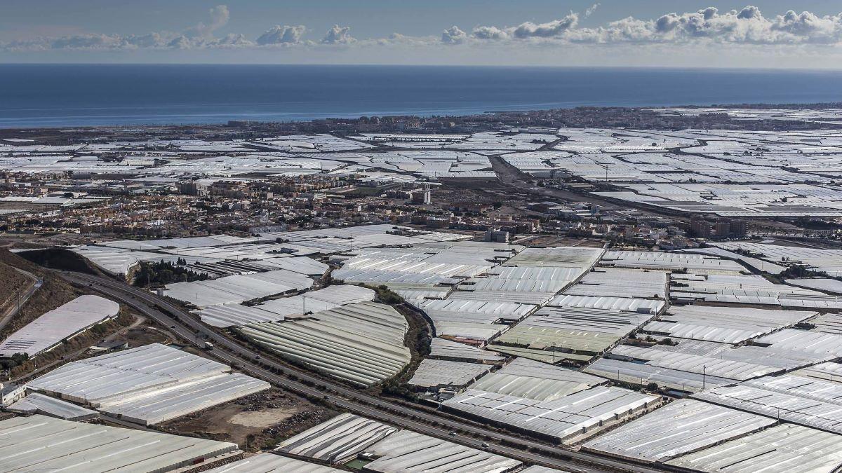 Los invernaderos solares españoles y las frutas y verduras en la UE