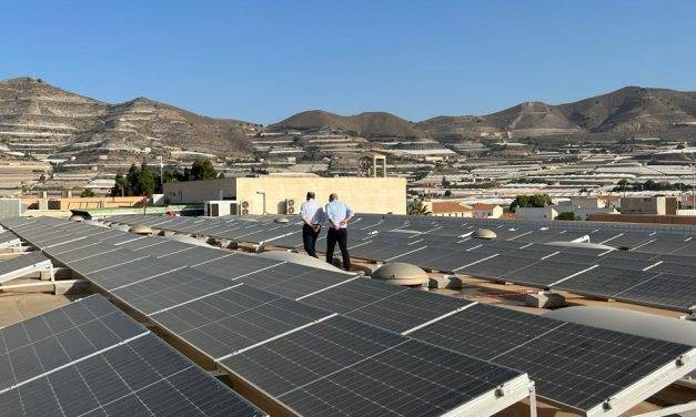 Cooperativa La Palma y su energía «Green»