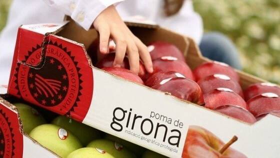 Descubre las variedades de manzana en la IGP de Girona