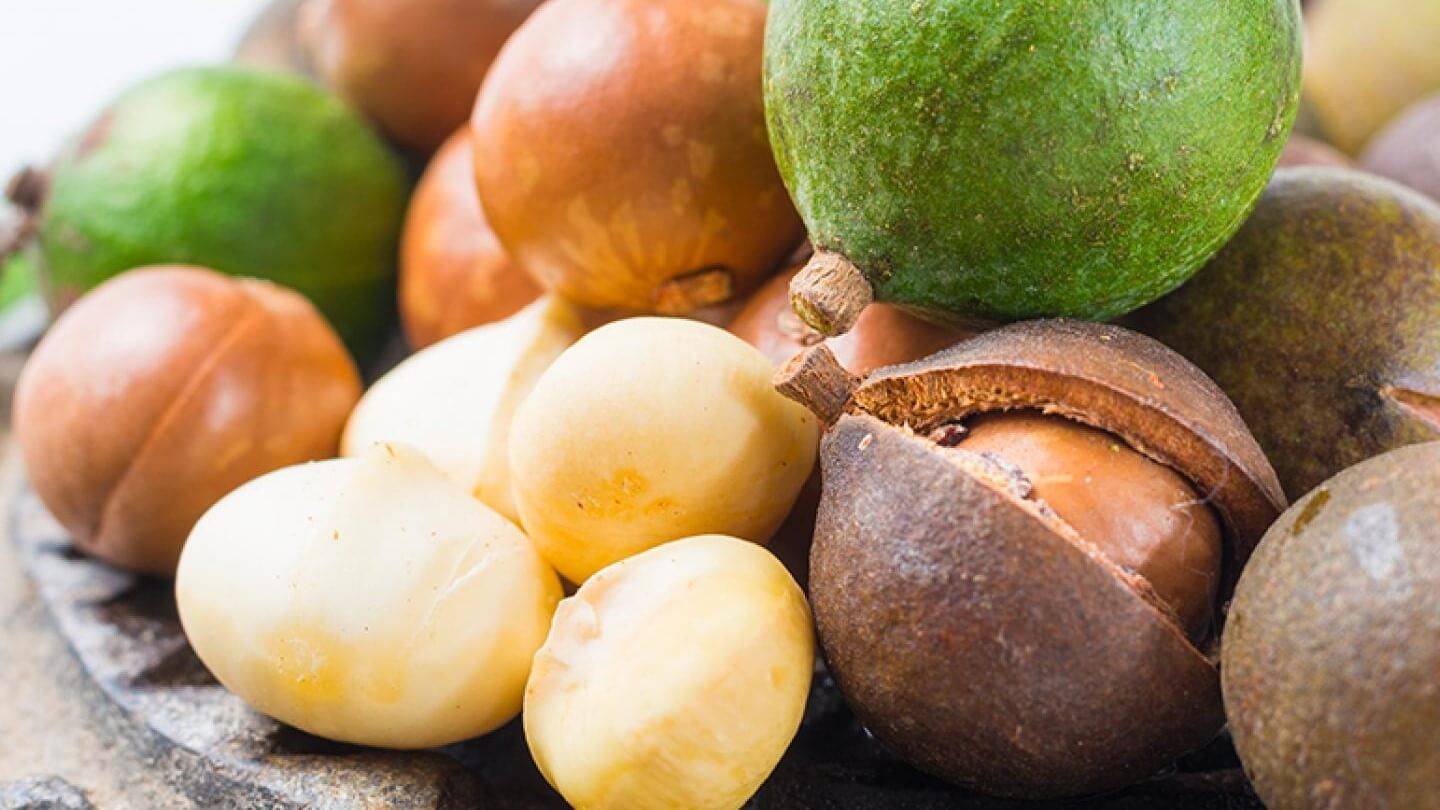 Macadamia, una nuez llena de encantos por descubrir