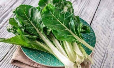 La acelga, una verdura que nos regala salud