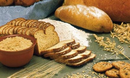 El ácido ferúlico, presente en los cereales, reduce el riesgo de enfermedades graves