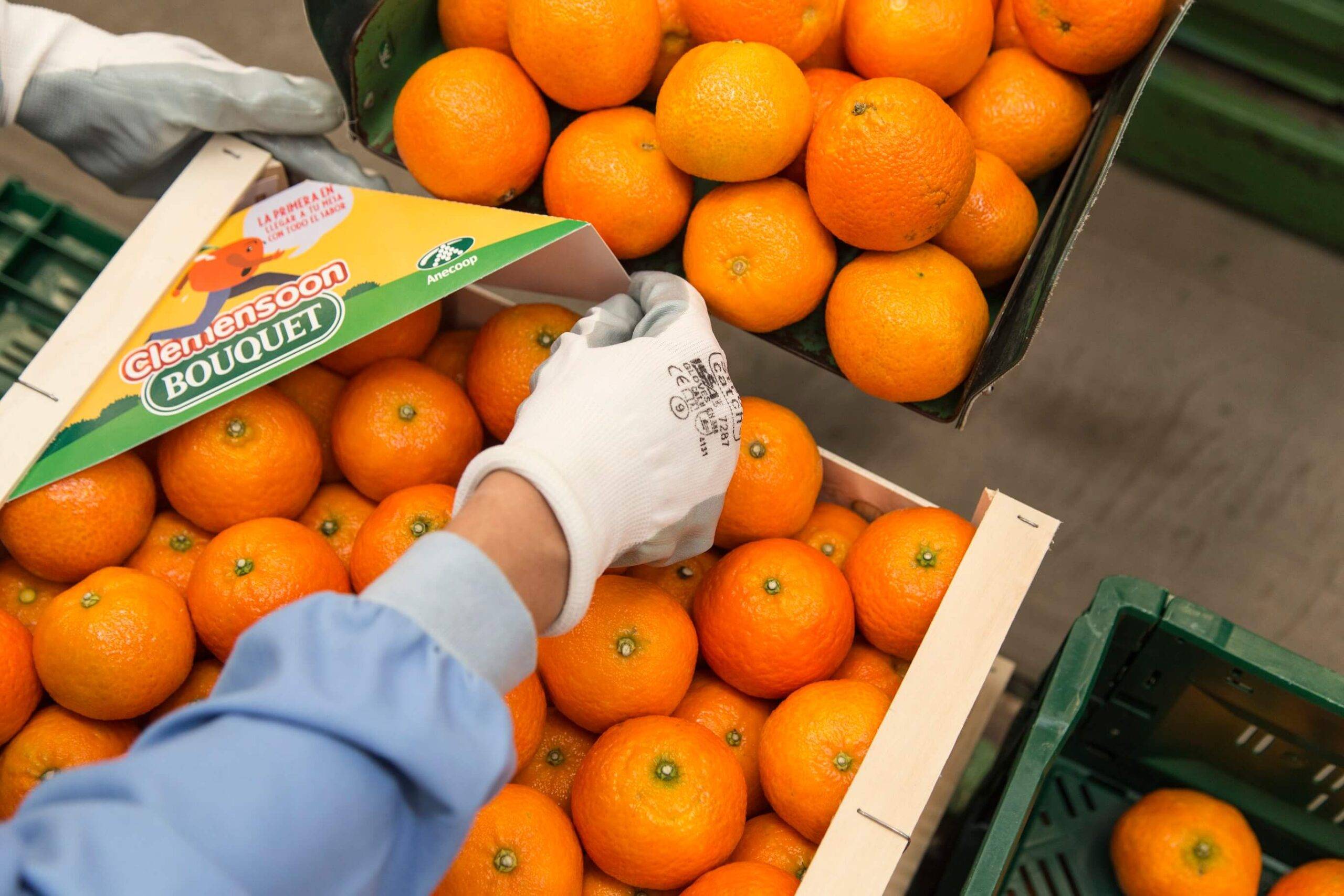 Alzicoop da un paso adelante y se suma a Green Fruits