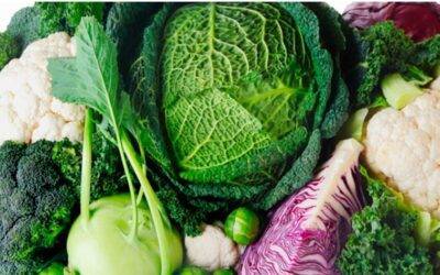Vegetales ricos en glucosinolatos, regalos nutricionales de la naturaleza