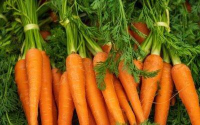 Los carotenoides, una esperanza para evitar el sobrepeso