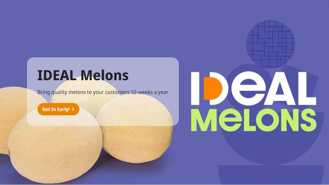 Ideal-Melons-Syngenta