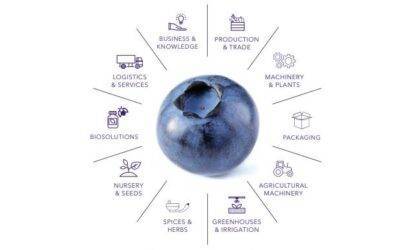  Macfrut 2023 centrará la atención mundial en el arándano con International Blueberry Days