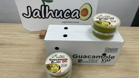Jalhuca, el Guacamole ecológico