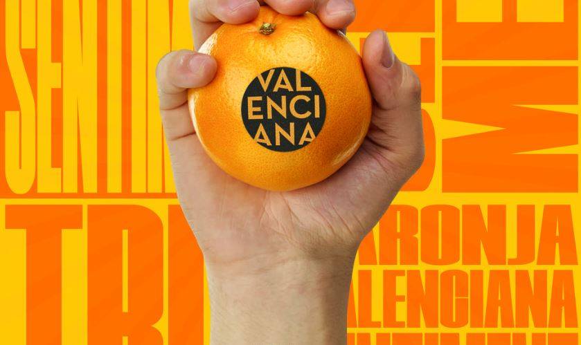 Noticias de la citricultura valenciana