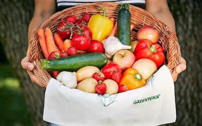 Greenpeace España publica una GUÍA de frutas y verduras de temporada