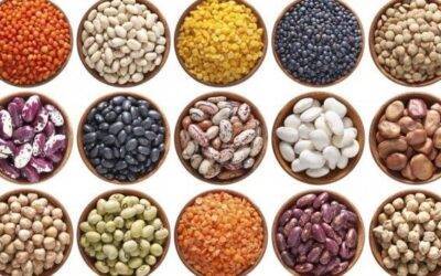 Antioxidantes en los colores de las leguminosas