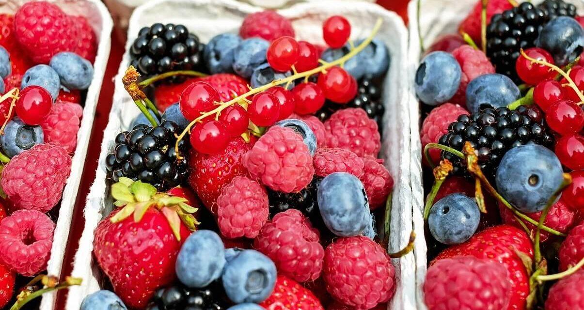 Una sección para las frutas “berries” en ACTUAL FruVeg