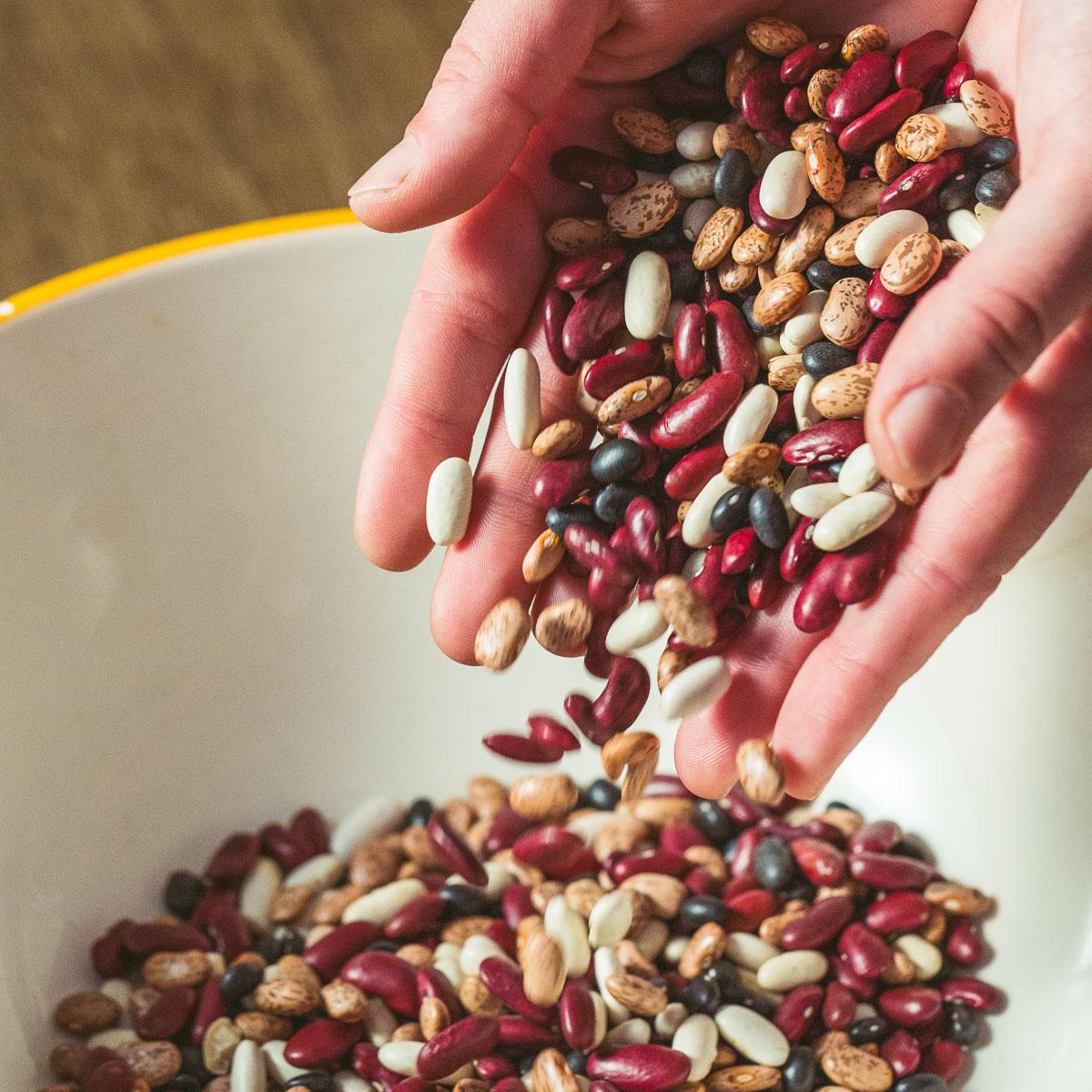 Cada año  se celebra el Día Mundial de las Legumbres. La efeméride de 2023