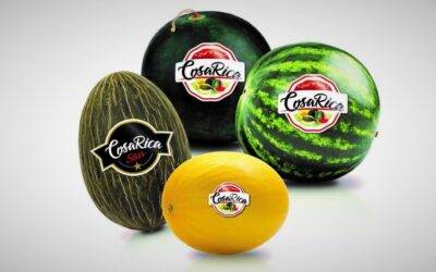 La marca Cosa Rica de melones y sandías es de CMR Group