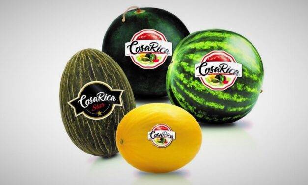 La marca Cosa Rica de melones y sandías es de CMR Group