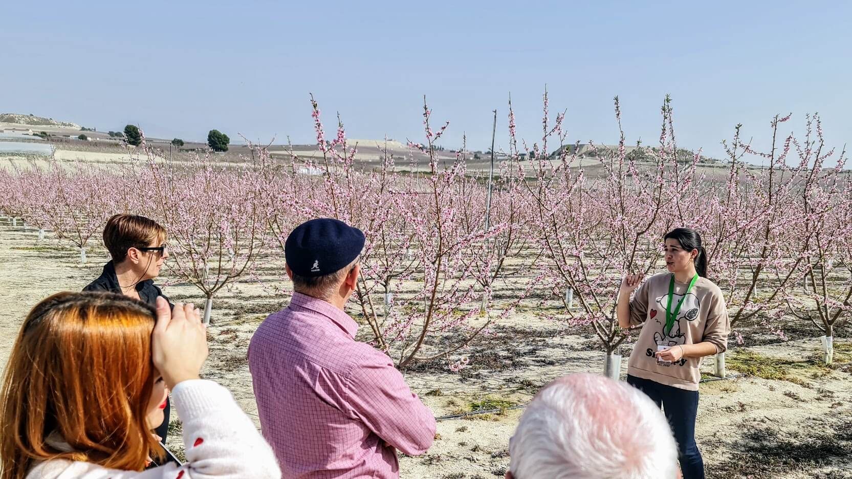 Pasear en los paisajes de frutales en flor