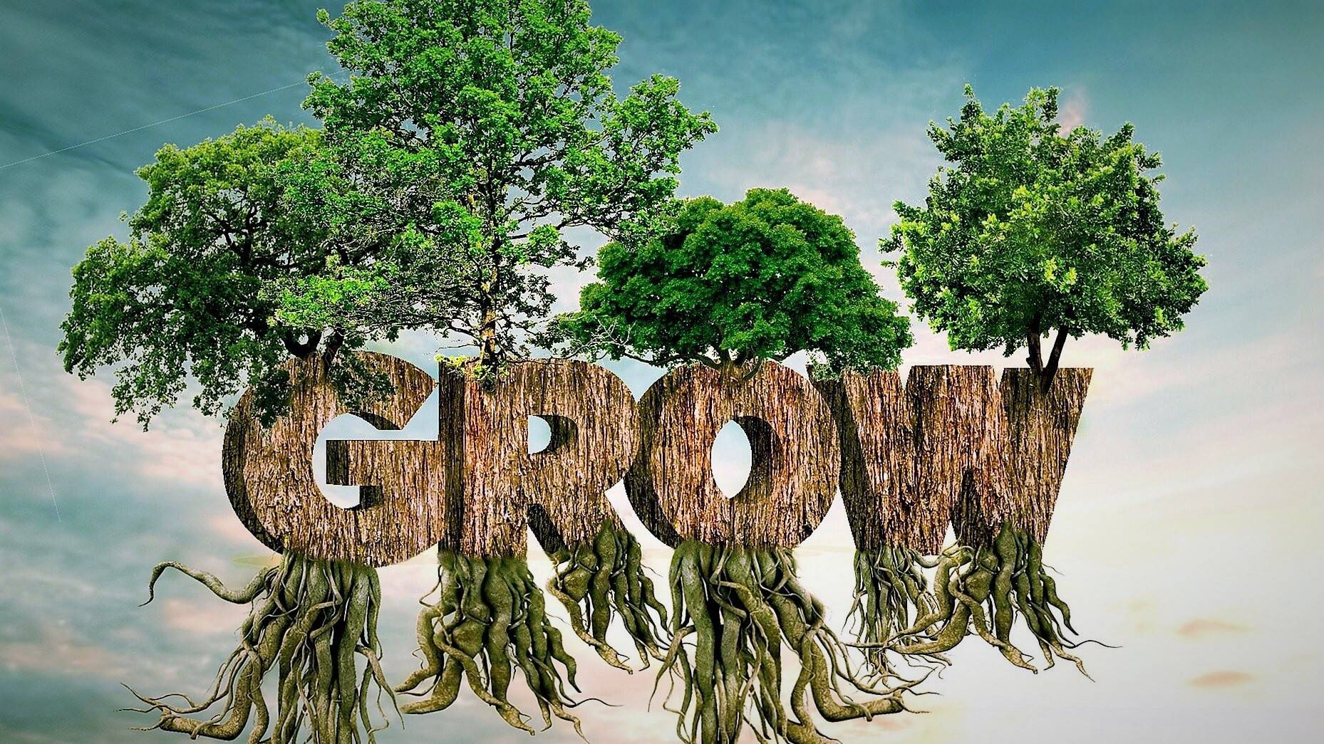 La importancia de las variedades de frutas y hortalizas en las tiendas