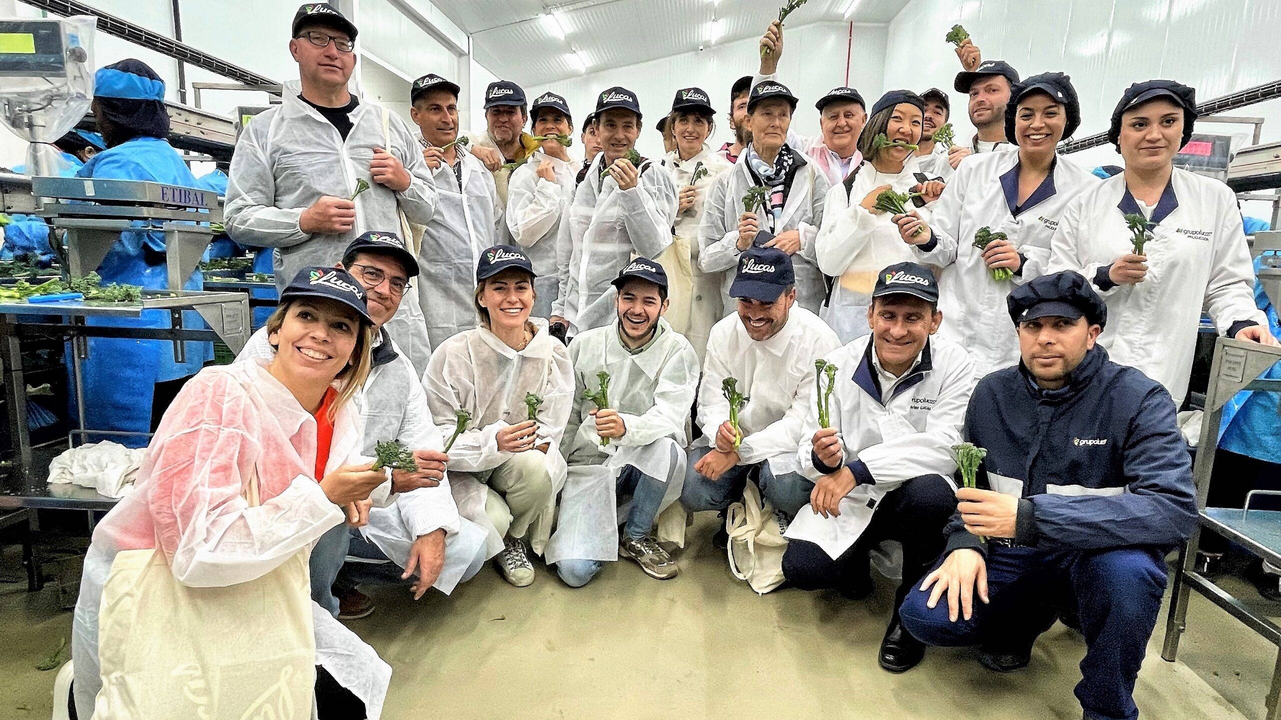Chefs, nutricionistas y divulgadores de alimentos visitan campos de BIMI en Murcia