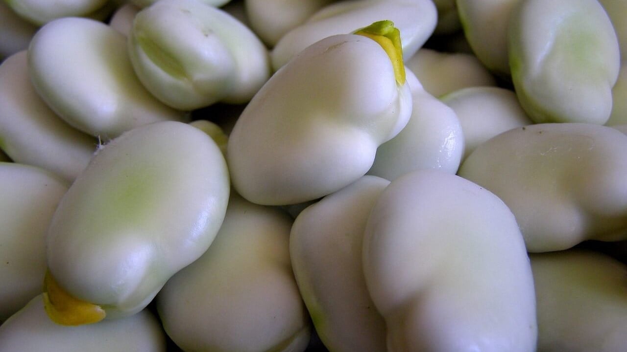 Menos obesidad y la agroalimentación sostenible