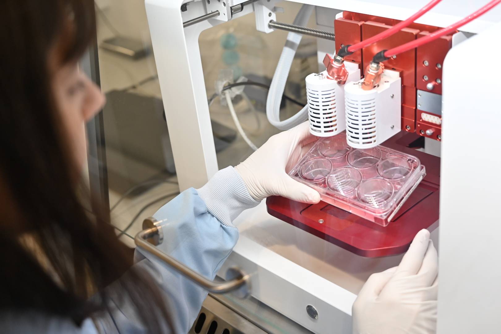 ¿Qué aceptación tendría, entre los consumidores, la carne cultivada?