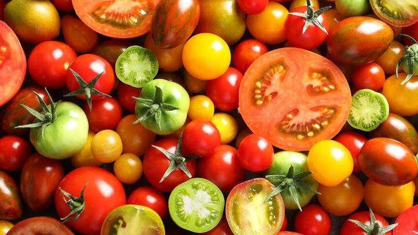 Las semillas del tomate, potencial fuente de aceite con valor nutricional y funcional