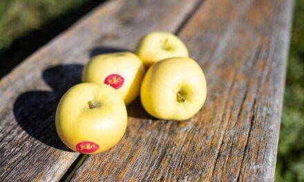 Yello®, la manzana amarilla para verdaderos entendidos