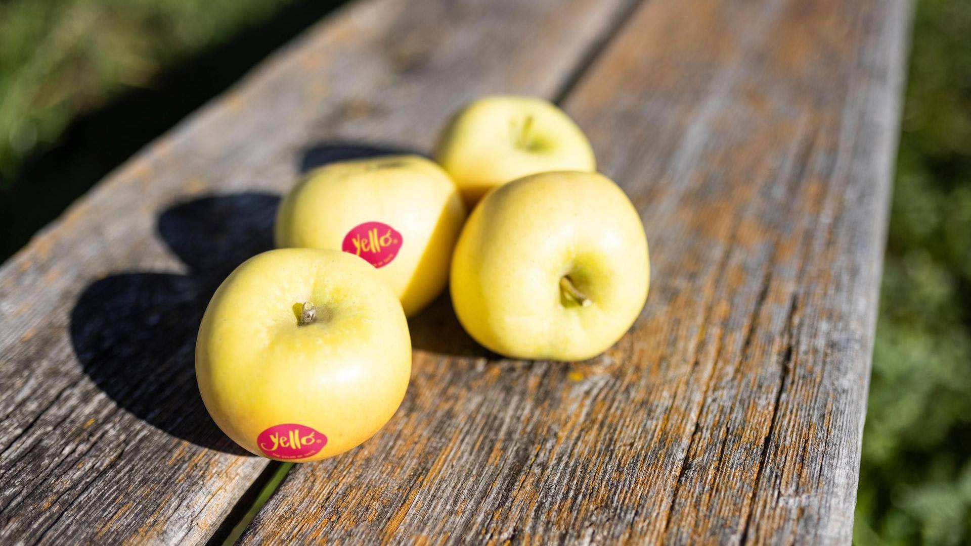 Yello®, la manzana amarilla para verdaderos entendidos