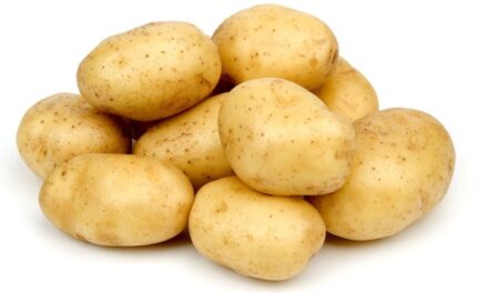 Las mejores patatas, … las que han tenido menos almacenamiento