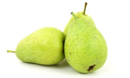 Estimaciones de las ventas de peras para la próxima temporada y perspectivas varietales