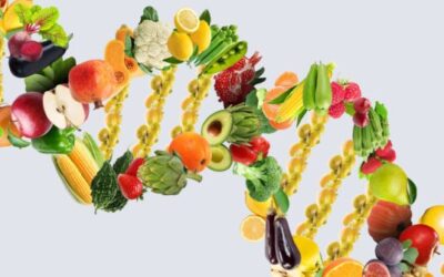 Una dieta personalizada puede beneficiar la salud