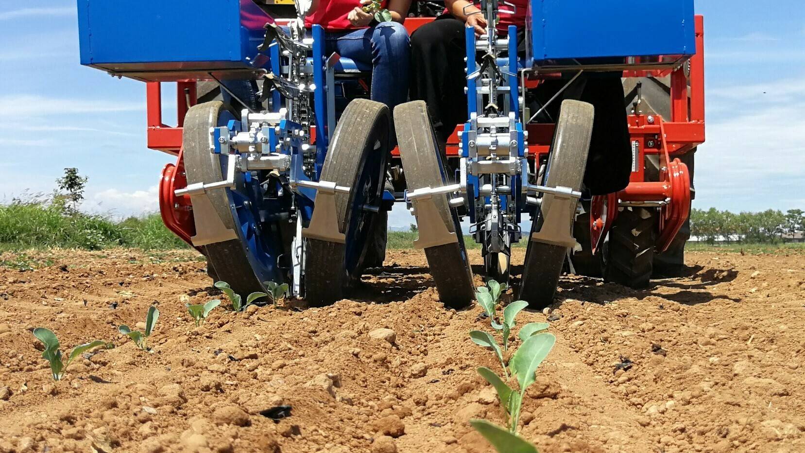 Horticultura intensiva, sostenible y moderna