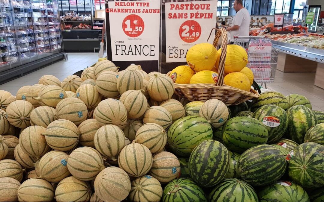 Discusiones sobre porqués hay falta de disponibilidad de melones y sandías este mes de julio