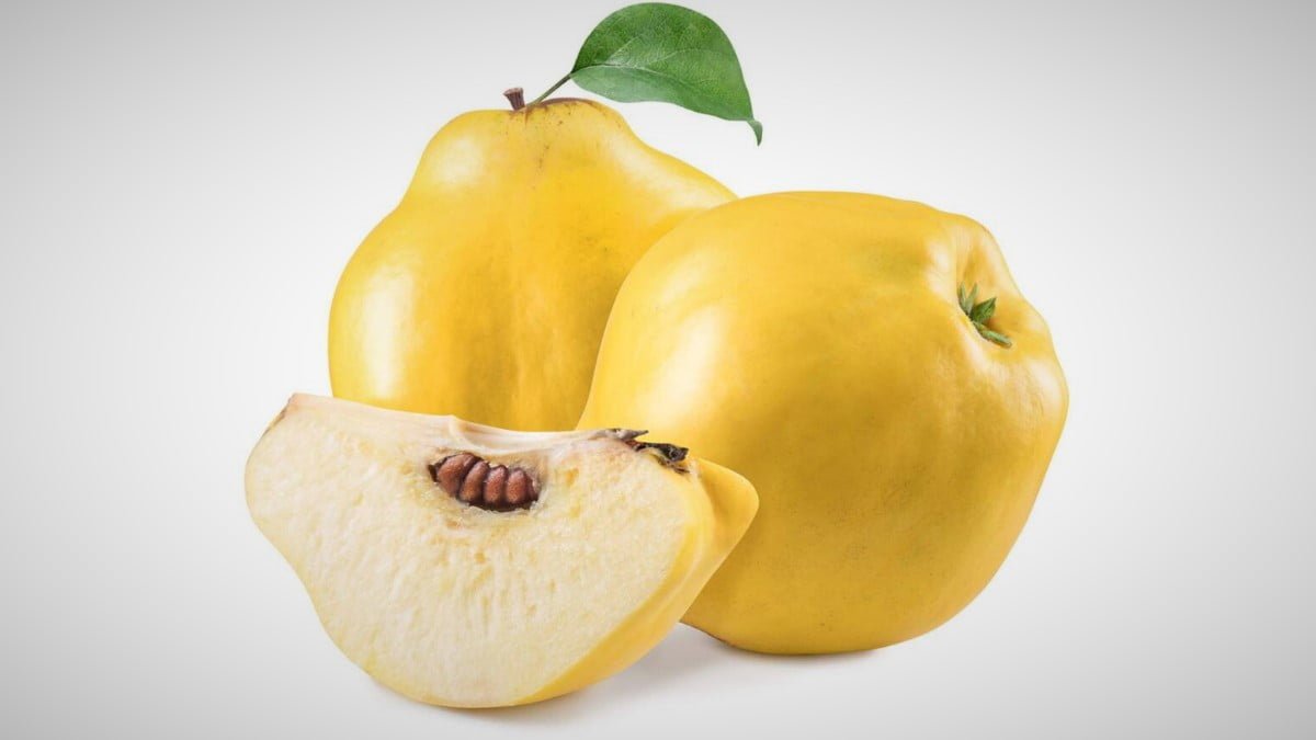 El membrillo, rico en vitaminas y minerales y exuberante en antioxidantes y pectina