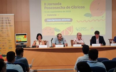 El consumo de frutas cítricas entre los españoles disminuye