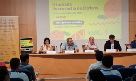 El consumo de frutas cítricas entre los españoles disminuye