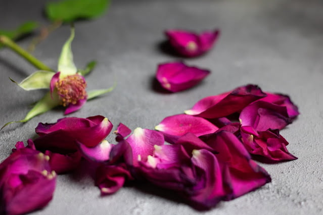 Pétalos de rosas como fuente rica de compuestos bioactivos