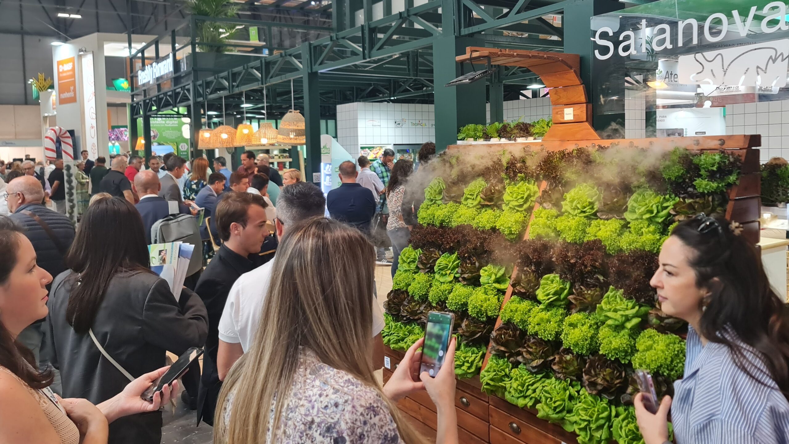 Las frutas y Hortalizas: actualidad 2023