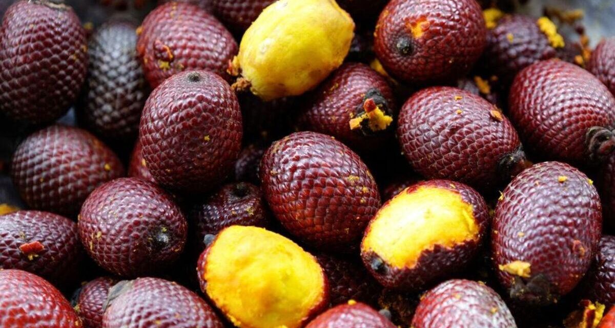 Burití, una fruta amazónica con potenciales beneficios para la salud