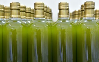 España como principal productor de aceite de oliva en el mundo tiene compromisos con la viabilidad de sus productores
