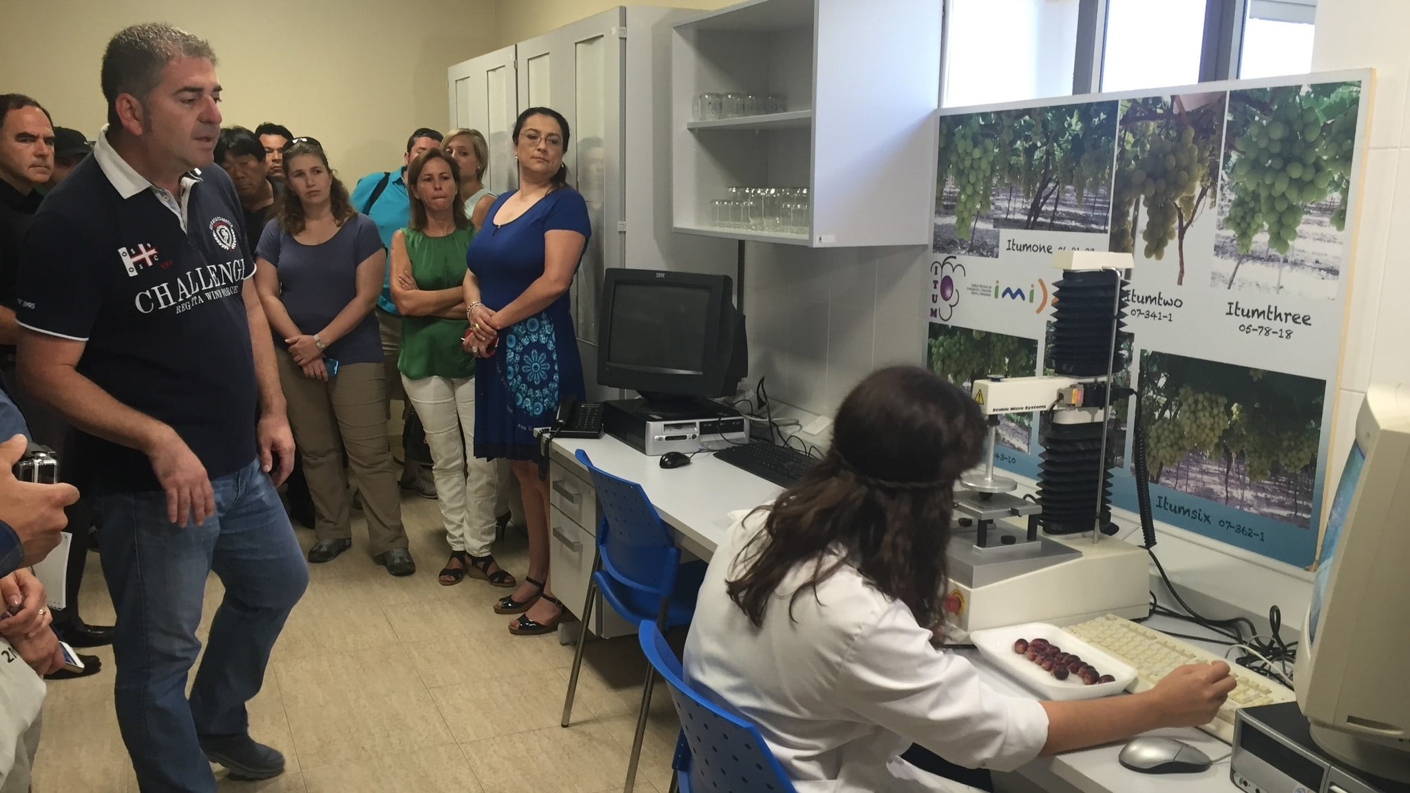 La campaña de la uva de mesa austral tuvo incertidumbres climáticas