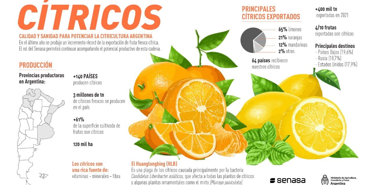 Cítricos argentinos: el año 2023 benefició a los cítricos dulces y no al limón