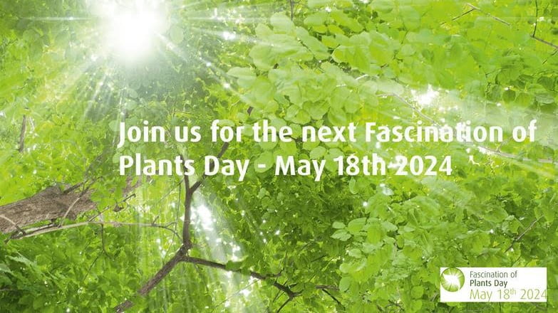 ¡Suma tu iniciativa al 7o. Día de la Fascinación por las Plantas!