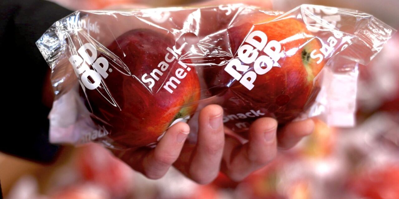 Redpop®, la pequeña manzana rebelde que cambia las reglas