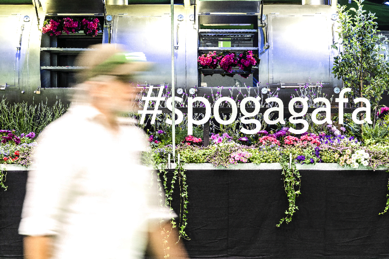 Diseño y cuidado del jardín en #spogagafa