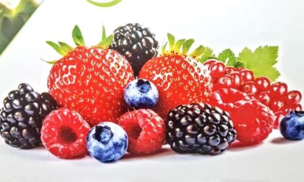 Los productores de fresa norteamericanos participan en el Congreso de Frutos Rojos de Huelva