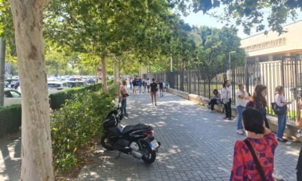 La búsqueda de árboles urbanos resilientes al clima, el ejemplo de Holanda