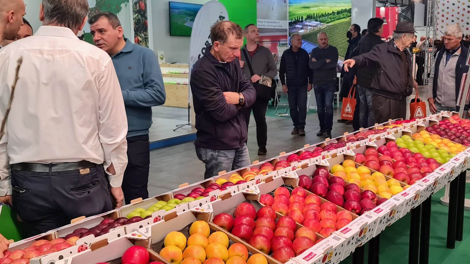 En la feria Interpoma analizarán las previsiones de la disminución de manzanas para el año 2025