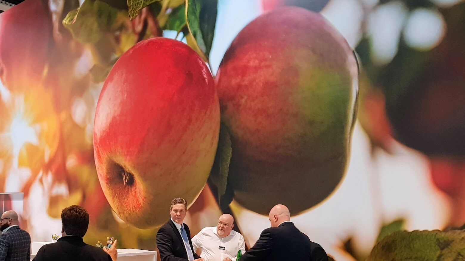 La producción de manzanas en la UE desciende un 11,3%